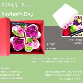 Mother’s Day – 2024年 母の日特集